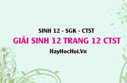 Giải Sinh 12 trang 12 Chân trời sáng tạo SGK